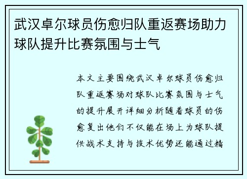 武汉卓尔球员伤愈归队重返赛场助力球队提升比赛氛围与士气