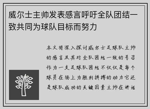 威尔士主帅发表感言呼吁全队团结一致共同为球队目标而努力